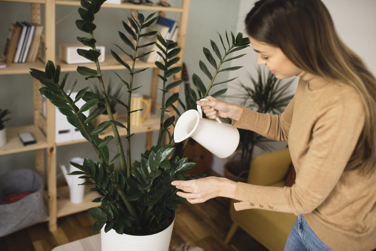 <div class="paragraphs"><p>ಗೆಟ್ಟಿ ಚಿತ್ರ</p></div>