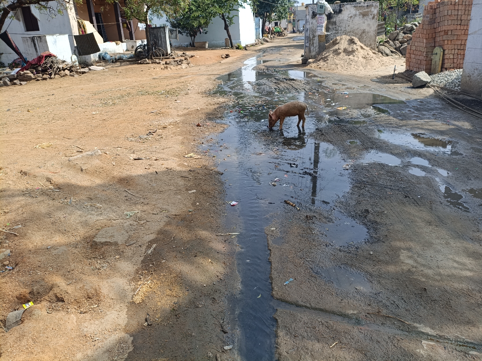 ಮುನಿರಾಬಾದ್ ಸಮೀಪ ಶಹಾಪುರ ಗ್ರಾಮದ ಮಧ್ಯ ಭಾಗದಲ್ಲಿ ಕೊಳಚೆ ನೀರು ಹರಿಯುತ್ತಿದೆ