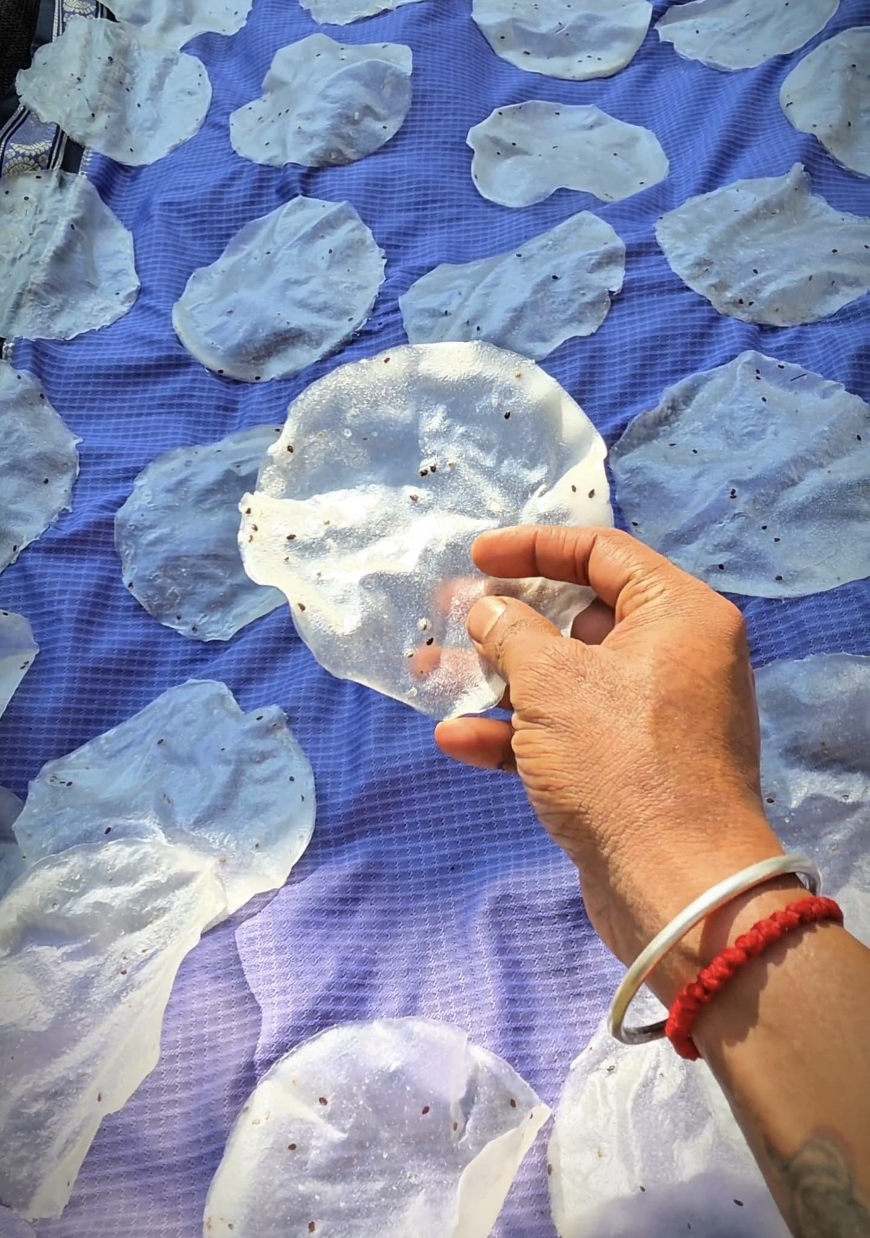 ಹಪ್ಪಳವನ್ನು ಬಿಸಿಲಿಗೆ ಹರಡಿರುವುದು