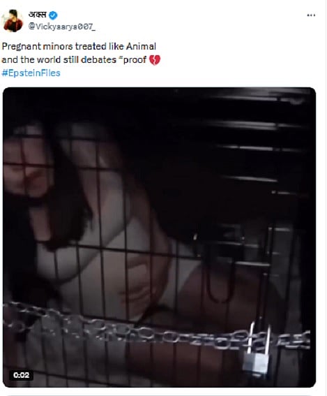 Fact Check: ಪಂಜರದೊಳಗೆ ಗರ್ಭಿಣಿ ಮಹಿಳೆಯನ್ನು ಕೂಡಿ ಹಾಕಿರುವ ವಿಡಿಯೊ ಸುಳ್ಳು