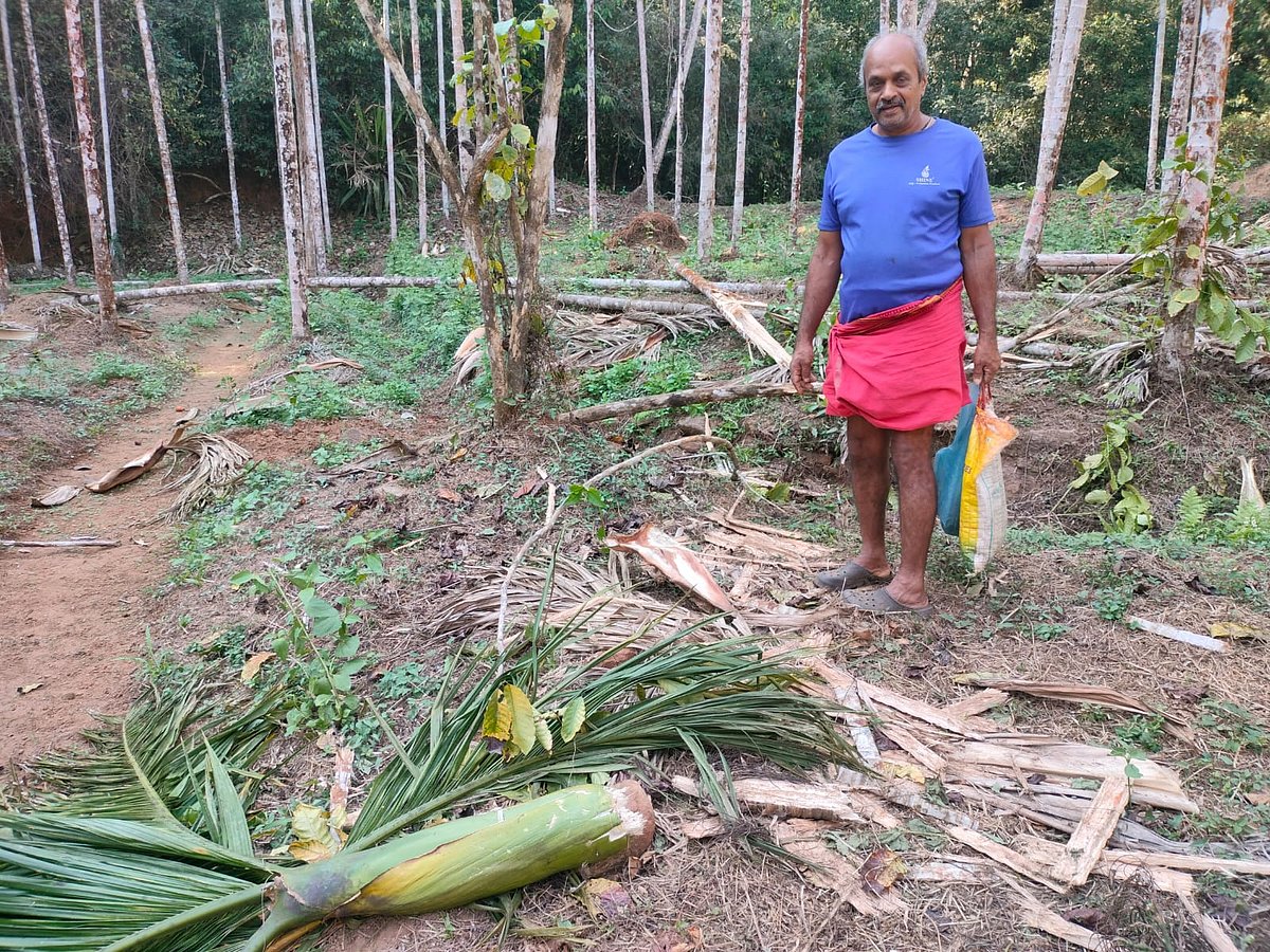 ಪೆರ್ನಾಜೆಯಲ್ಲಿ ಕಾಡಾನೆ ದಾಳಿ