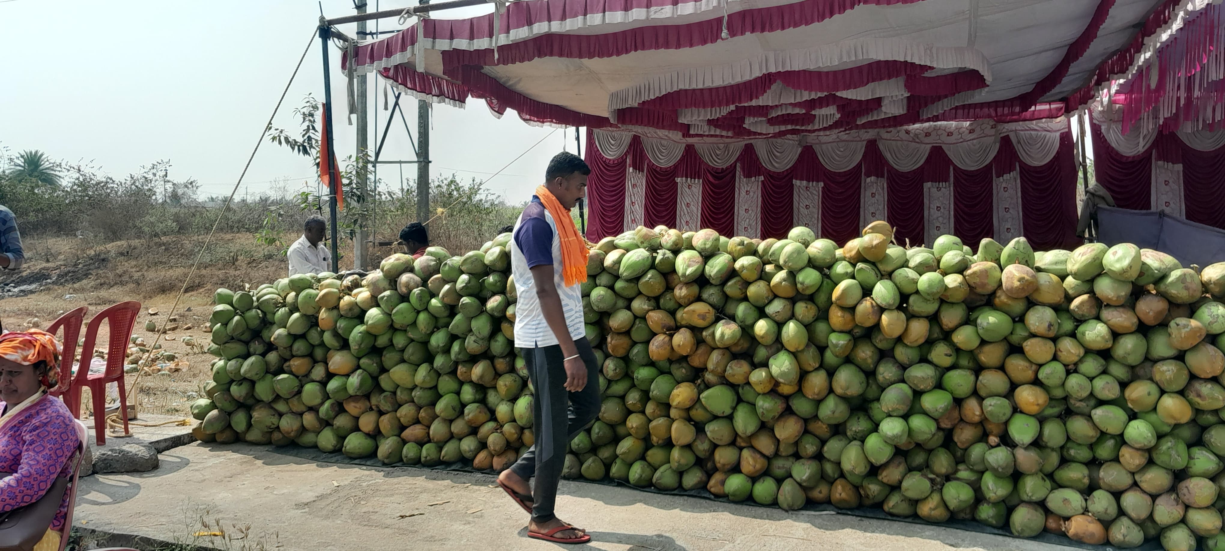ಹಾಸನ ತಾಲ್ಲೂಕಿನ ಶಾಂತಿಗ್ರಾಮದ ಟೋಲ್‌ಗೇಟ್‌ ಬಳಿ ಪಾದಯಾತ್ರಿಗಳಿಗೆ ವಿತರಿಸಲು ಇಟ್ಟಿರುವ ಎಳನೀರು ಕಾಯಿಗಳು