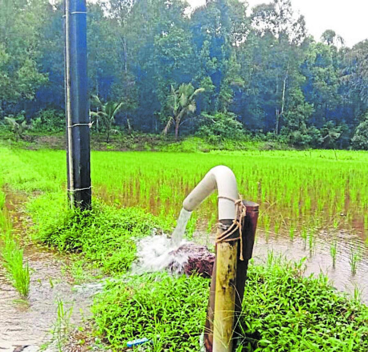 ದಾವಣಗೆರೆ: ‘ಅಕ್ರಮ–ಸಕ್ರಮ’ ರದ್ದು ಪರಿಣಾಮ; ಉಚಿತ ಟಿ.ಸಿ.ಯತ್ತ ರೈತರ ಆಸಕ್ತಿ