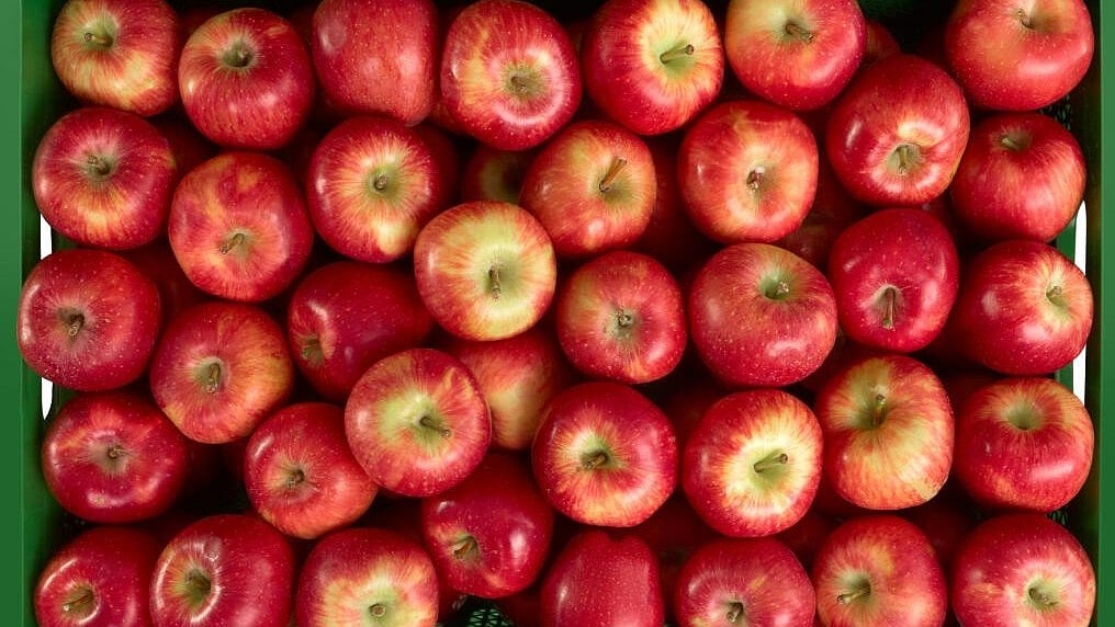 ದಿನಕ್ಕೊಂದು ಸೇಬು ಸೇವನೆಯಿಂದ ಈ ಎಲ್ಲಾ ಲಾಭಗಳನ್ನು ಪಡೆಯಿರಿ