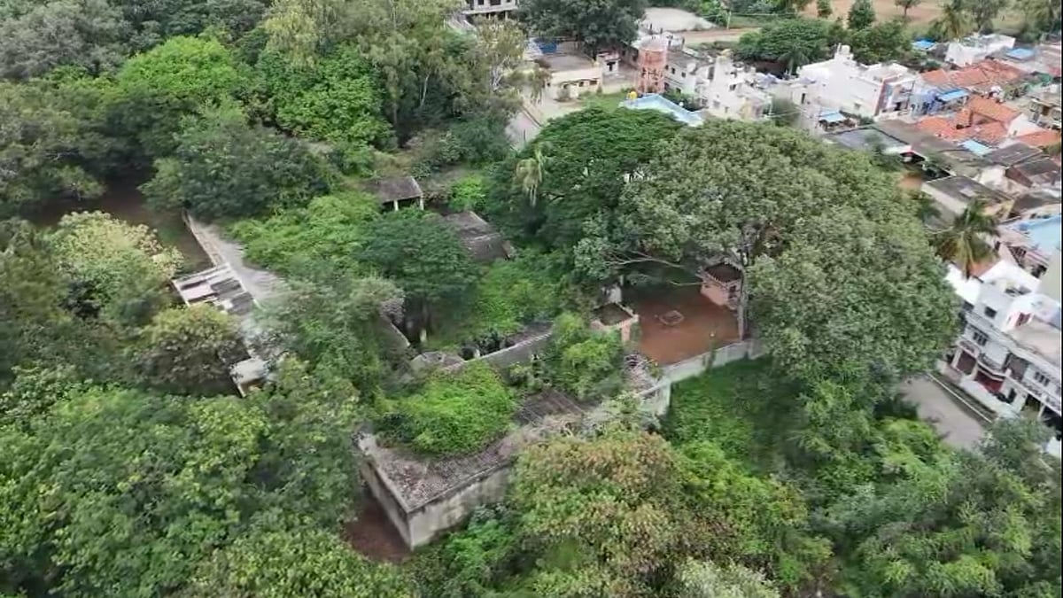 ಕೆಎಸ್‌ಐಸಿ ಆವರಣದಲ್ಲಿ ತಾಲ್ಲೂಕು ಕ್ರೀಡಾಂಗಣಕ್ಕೆ ಮರ ಹನನ; ತೀವ್ರ ವಿರೋಧ