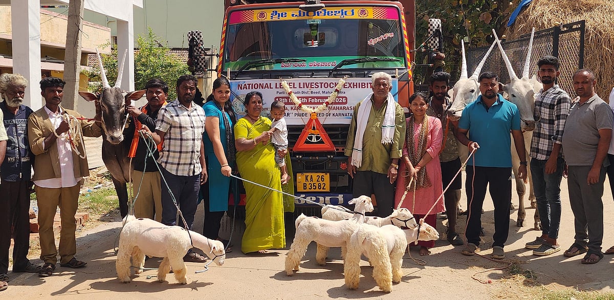 ಮಹಾರಾಷ್ಟ್ರದಲ್ಲಿ ಮಂಡ್ಯ ಜಾನುವಾರುಗಳ ಪ್ರದರ್ಶನ