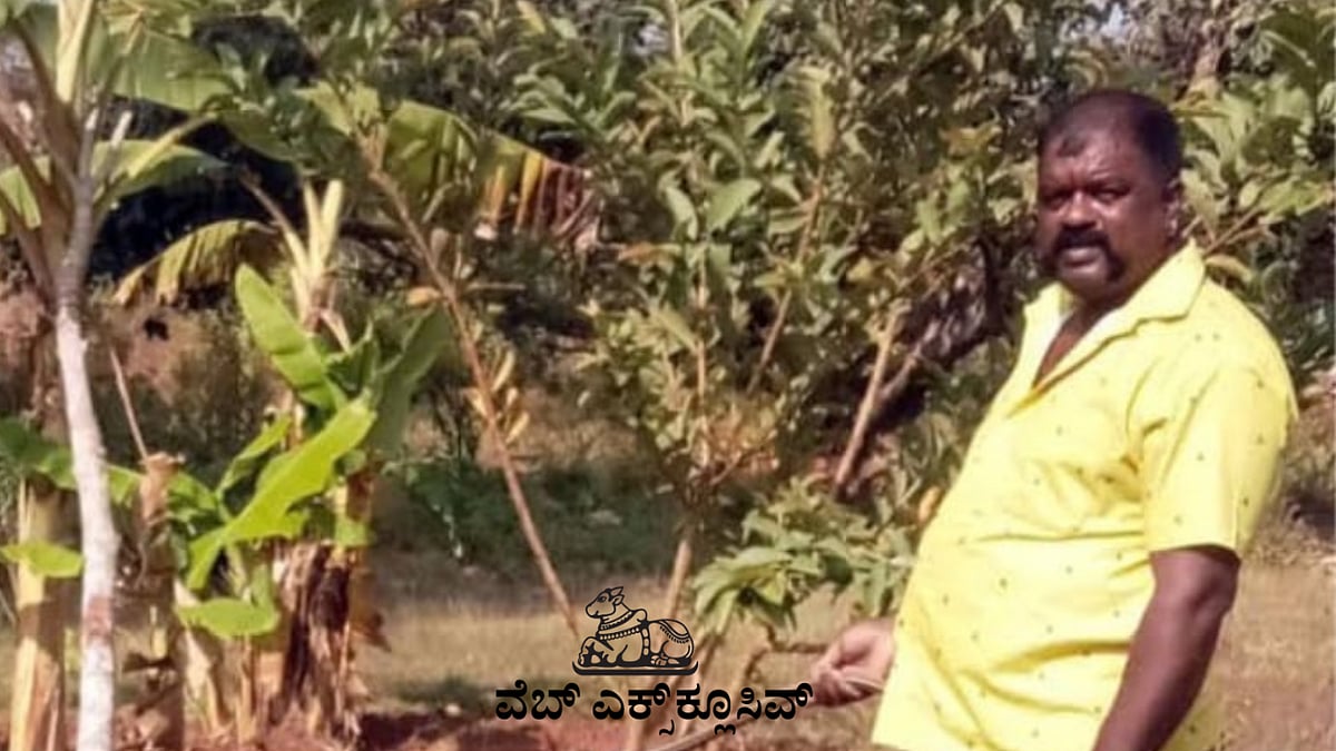 PV Web Exclusive: ಸ್ಮಶಾನದಲ್ಲೊಂದು ತೋಟ; ಮೌನ ಭೂಮಿಯಲ್ಲಿ ಹಕ್ಕಿಗಳ ಕಲರವ 