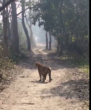 <div class="paragraphs"><p>ಕೃಪೆ: ಎಕ್ಸ್ ಖಾತೆ</p></div>