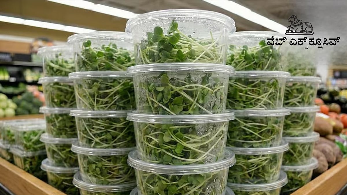 ‘ಮೈಕ್ರೊಗ್ರೀನ್ಸ್’ ಪೌಷ್ಟಿಕಾಂಶದ ಆಗರ.. ಸ್ವಉದ್ಯೋಗಕ್ಕೆ ಹೊಸ ದಾರಿ