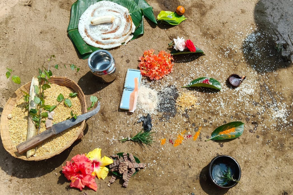 ನಾಪೋಕ್ಲು ಸಮೀಪದ ಚೇರಂಬಾಣೆ ಗೌಡ ಮಹಿಳಾ ಒಕ್ಕೂಟದ ವತಿಯಿಂದ ಗುರುವಾರ ಆಯೋಜಿಸಿದ್ದ ಕೆಡ್ಡಸ ಹಬ್ಬದಲ್ಲಿ ಬಳಸಲಾದ ಸಾಂಪ್ರದಾಯಿಕ ವಸ್ತುಗಳು.