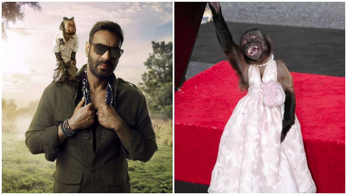 Crystal the Monkey: ಹಾಲಿವುಡ್‌ನ ಈ ಸೆಲೆಬ್ರಿಟಿ ಬಗ್ಗೆ ನಿಮಗೆಷ್ಟು ಗೊತ್ತು?