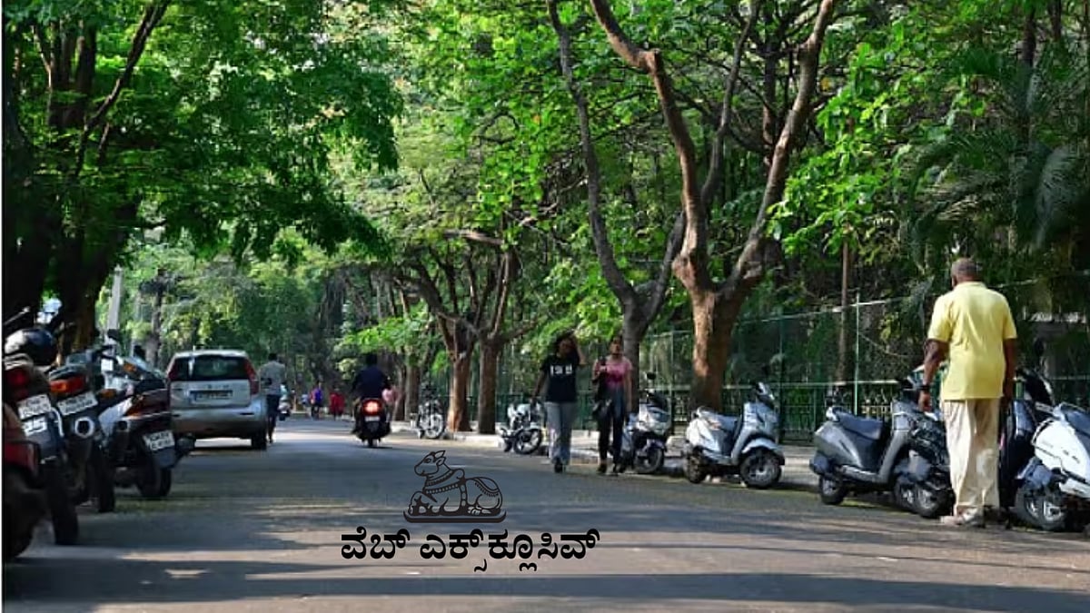 PV Web Exclusive| ಉದ್ಯಾನ ನಗರದಲ್ಲಿ ಎಷ್ಟು ಮರಗಳಿವೆ? ಸಮೀಕ್ಷೆ ಹೇಳುವುದು ಏನು?
