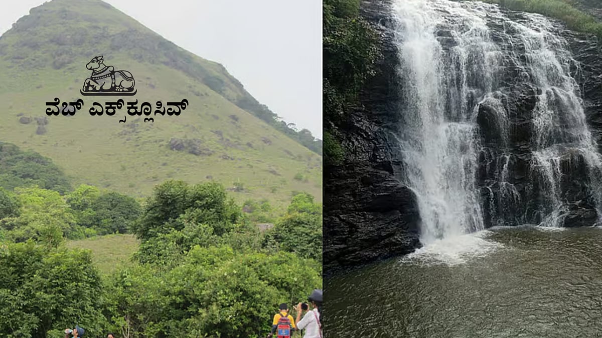 ಕೊಡಗು: ಪ್ರವಾಸಿಗರನ್ನು ಸೆಳೆಯುತ್ತಿವೆ ಹಸಿರು ಹೊದ್ದ ಬೆಟ್ಟಗಳು