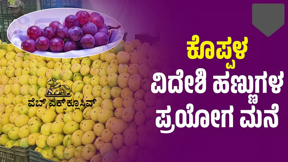 ಕೊಪ್ಪಳ: ವಿದೇಶಿ ಹಣ್ಣುಗಳ ಪ್ರಯೋಗ ಮನೆ