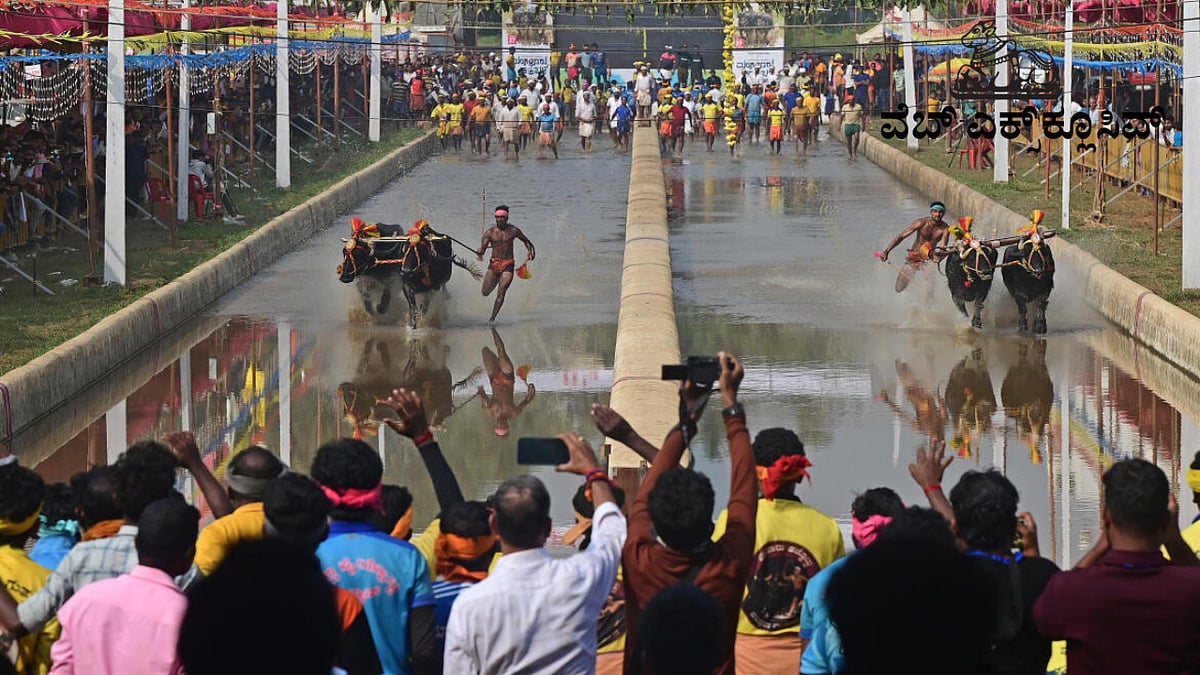 PV Web Exclusive: ತುಳುನಾಡಿನ ಕಂಬಳ ಲೋಕದಲ್ಲಿ...