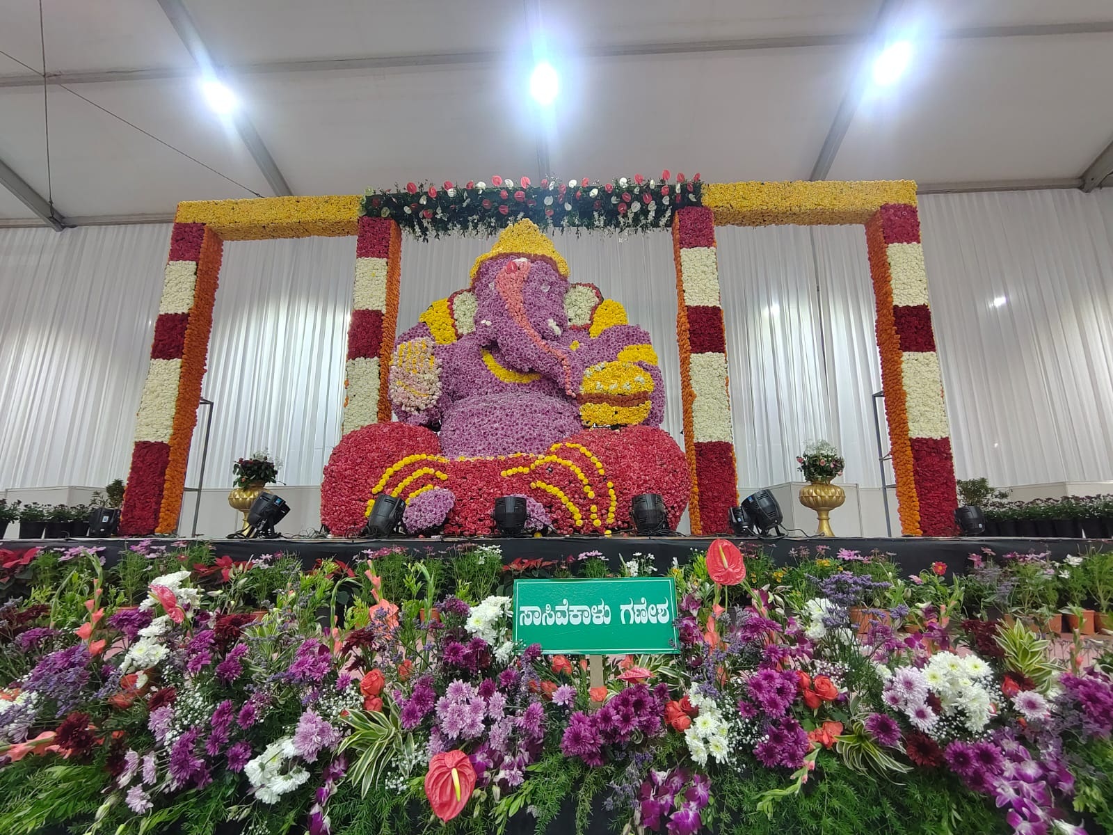 ಹಂಪಿ ಉತ್ಸವದ ಫಲಪುಷ್ಪ ಪ್ರದರ್ಶನದಲ್ಲಿ ಗಮನ ಸೆಳೆದ ಸಾಸಿವೆಕಾಳು ಗಣೇಶ   –ಪ್ರಜಾವಾಣಿ ಚಿತ್ರ