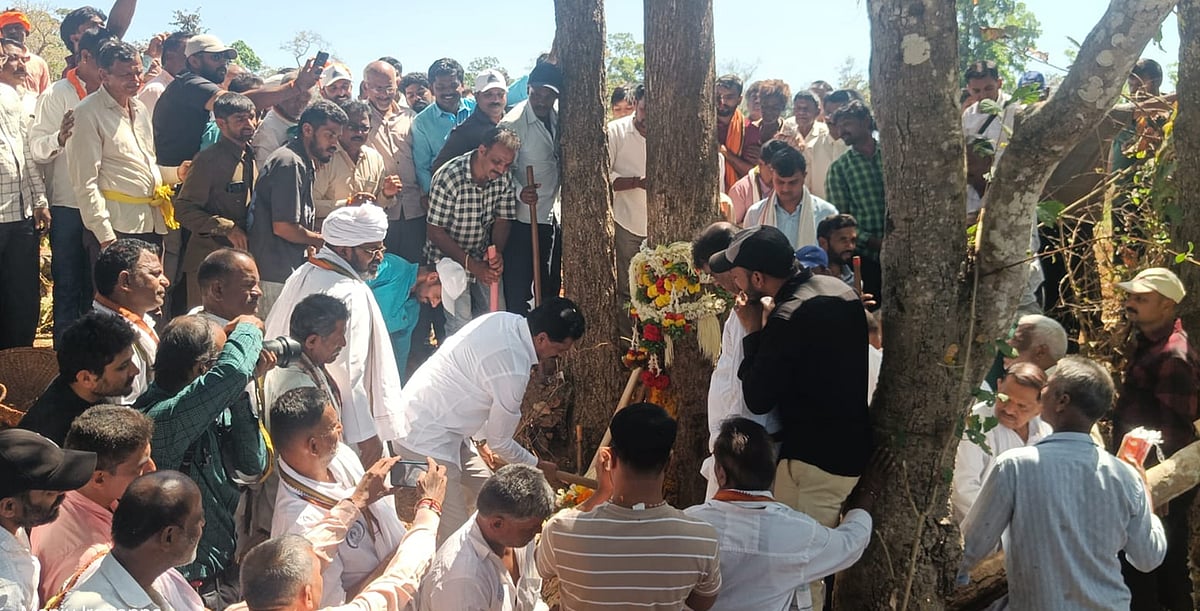 ಶಿರಸಿ: ತಾರಿಮರಕ್ಕೆ ಕಚ್ಚು ಹಾಕುವ ಸೇವೆ ಸಂಪನ್ನ