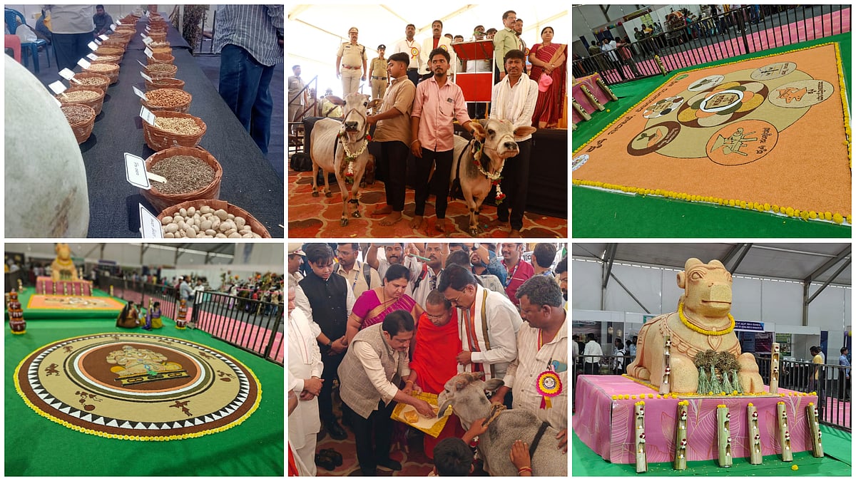 ಹಂಪಿ ಉತ್ಸವದಲ್ಲಿ ಸುಗ್ಗಿ ಸಂಭ್ರಮ, ಕೃಷಿ ವಸ್ತುಪ್ರದರ್ಶನ