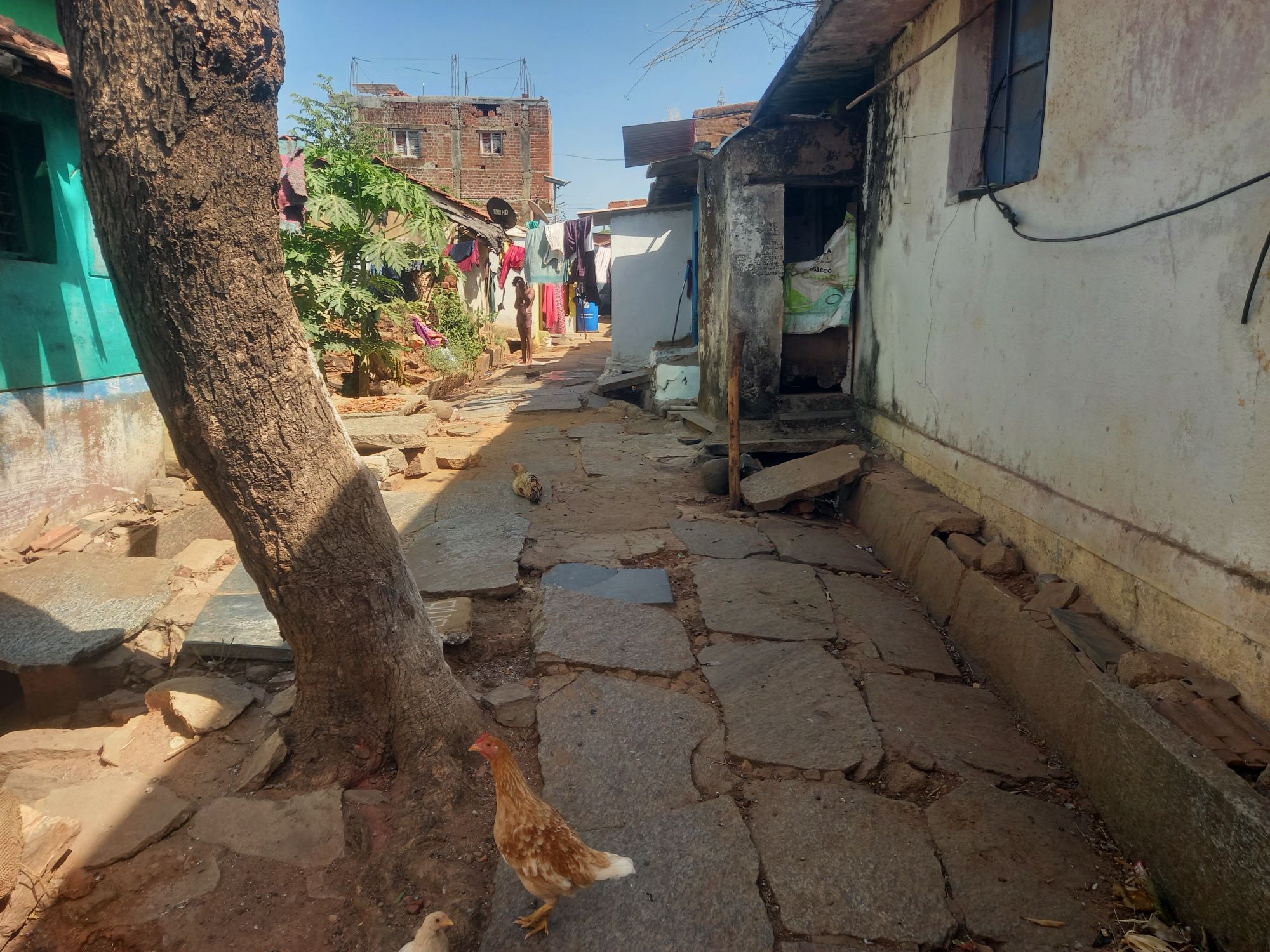 ಮಾಯಕೊಂಡದ ಎ.ಕೆ. ಕಾಲೊನಿಯಲ್ಲಿ ಕಿಷ್ಕಿಂಧೆಯಂತಿರುವ ಓಣಿ