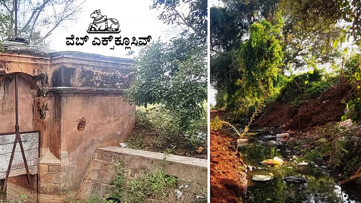 PV Web Exclusive: ಮೈಸೂರಿನ 147 ವರ್ಷ ಹಳೆಯ ಪೂರ್ಣಯ್ಯ ನಾಲೆ ಪೂರ್ಣ ಅವಸಾನದತ್ತ!