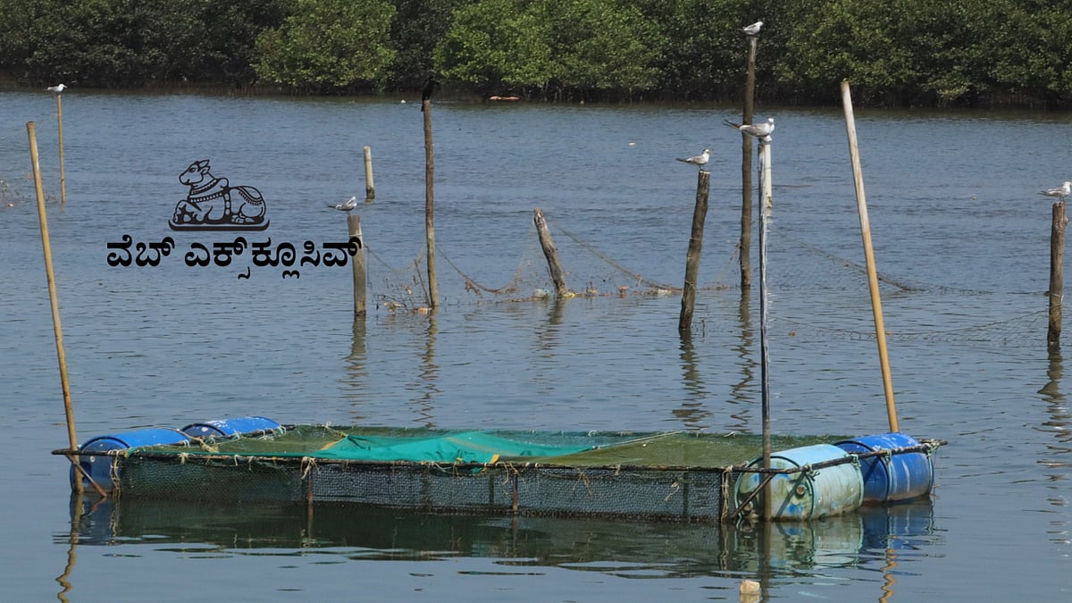 WEB EXCLUSIVE | ಉಡುಪಿ: ಪಂಚಗಂಗಾವಳಿ ಎಂಬ ಜೀವ ವೈವಿಧ್ಯದ ನೆಲೆ