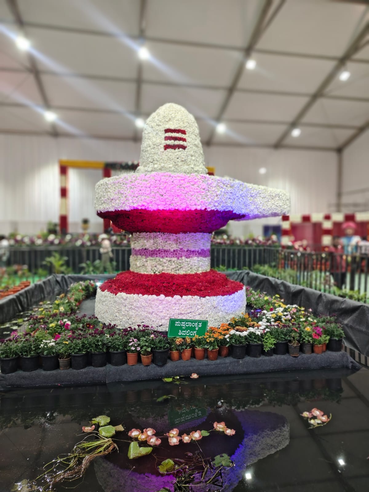 ಹಂಪಿ ಉತ್ಸವದ ಫಲಪುಷ್ಪ ಪ್ರದರ್ಶನದಲ್ಲಿ ಗಮನ ಸೆಳೆದ ಬಡವಿ ಲಿಂಗ  –ಪ್ರಜಾವಾಣಿ ಚಿತ್ರ