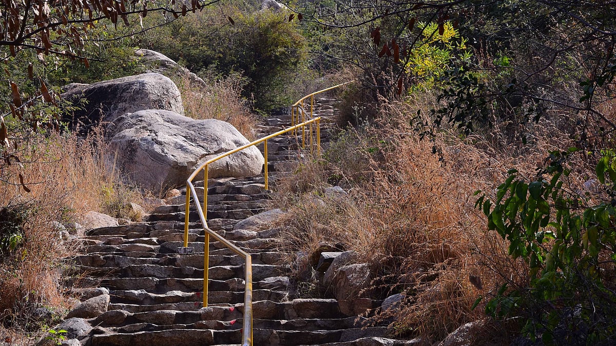 ಹಲವು ವಿಶೇಷಗಳ ರಾಂಪುರ...