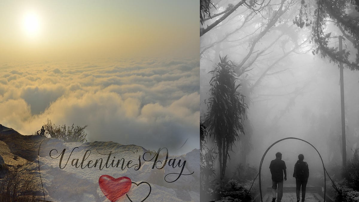 PHOTOS | ಮಬ್ಬುಗತ್ತಲಿನ, ಇಬ್ಬನಿ ತುಂಬಿದ ನಂದಿ ಬೆಟ್ಟ...