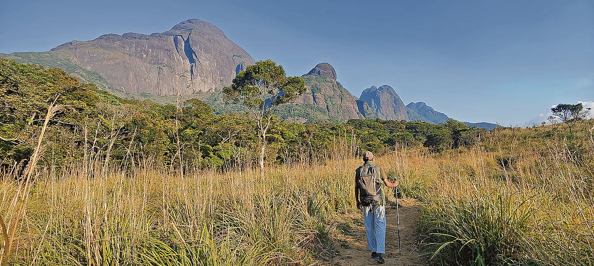 ಚಾರಣ: ಅಗಸ್ತ್ಯನ ಮುಡಿಯಿಂದ ಕಂಡ ಇಳೆ!