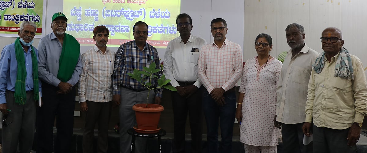 ಬೆಣ್ಣೆಹಣ್ಣು ಬೆಳೆ: ಯಲಚಹಳ್ಳಿಯ ತೋಟಗಾರಿಕೆ ಕಾಲೇಜಿನಲ್ಲಿ ತರಬೇತಿ