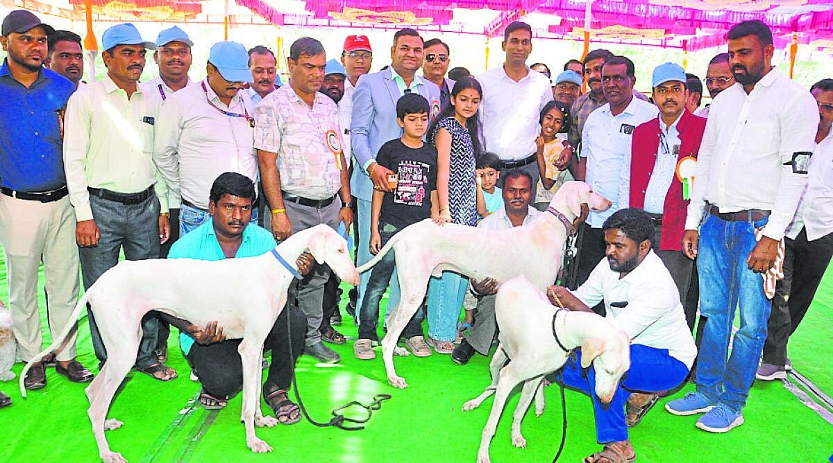 ವಿಜಯಪುರ: ನೋಡುಗರ ಮನ ಸೆಳೆದ ಶ್ವಾನ ಪ್ರಪಂಚ