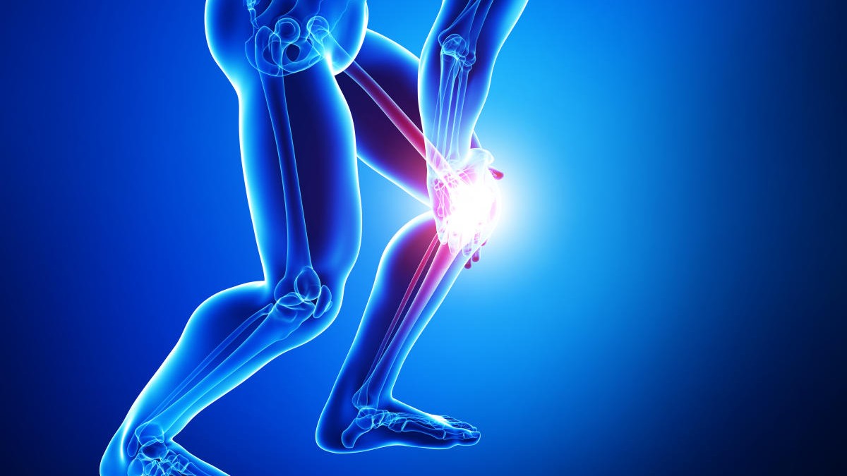 ಮೂಳೆಗಳ ಬಲ ಹೆಚ್ಚಿಸುತ್ತದೆ