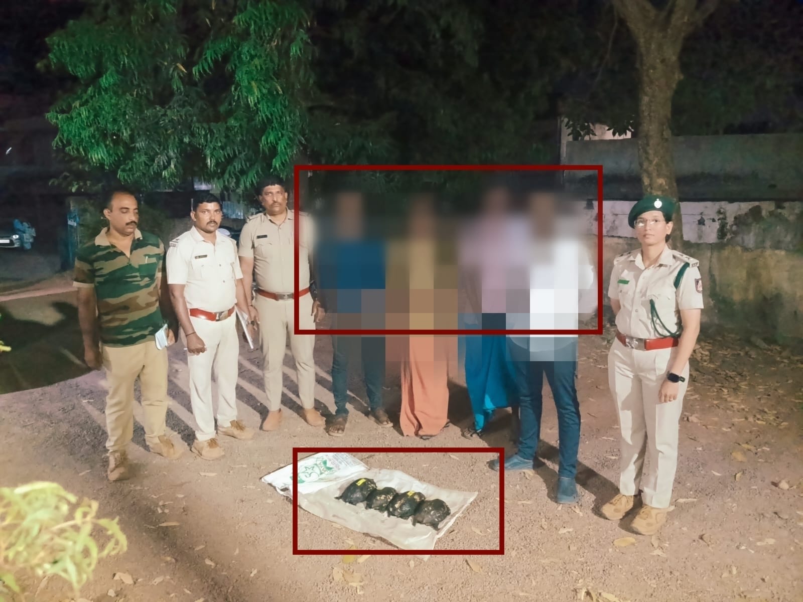 ವಶಪಡಿಸಿಕೊಂಡಿರುವ ಆಮೆಗಳು 