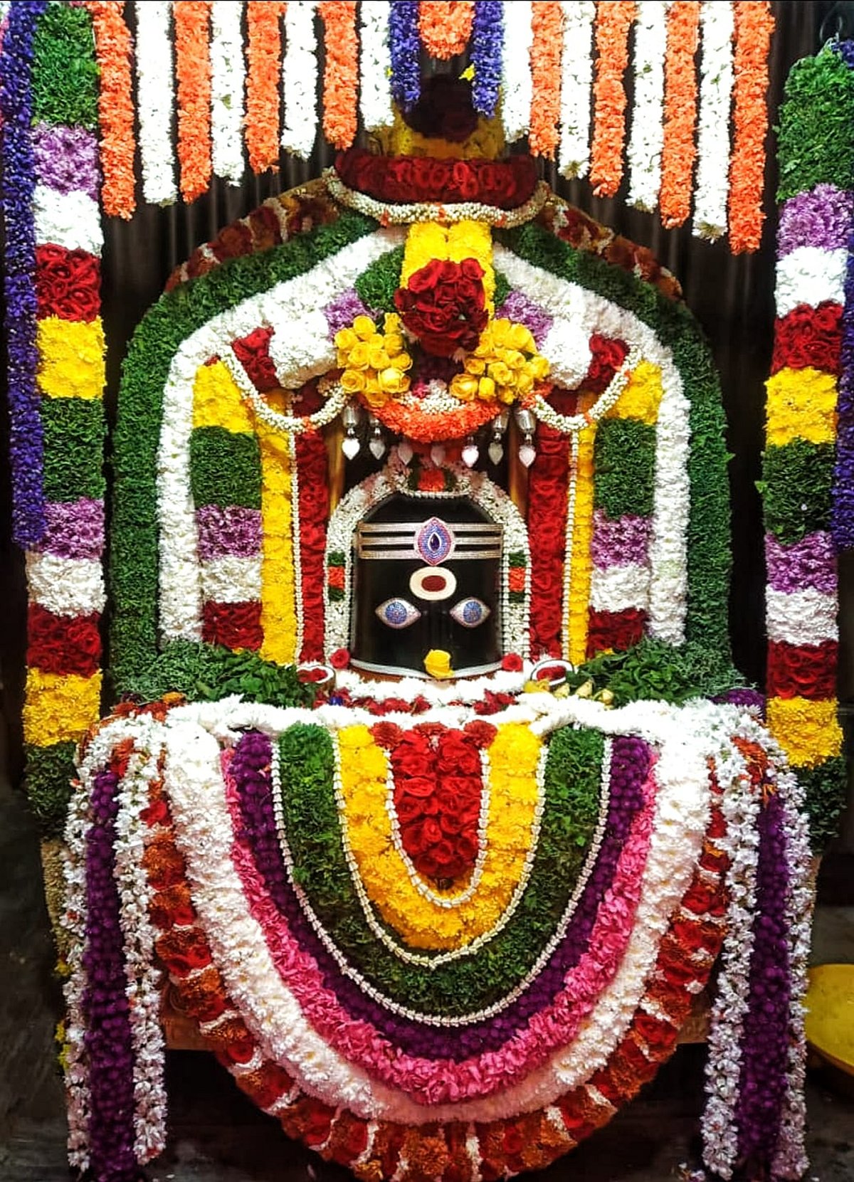 ಮಹಾಶಿವರಾತ್ರಿ: ದೇವಾಲಯಗಳಿಗೆ ಹರಿದು ಬಂದ ಜನಸಾಗರ