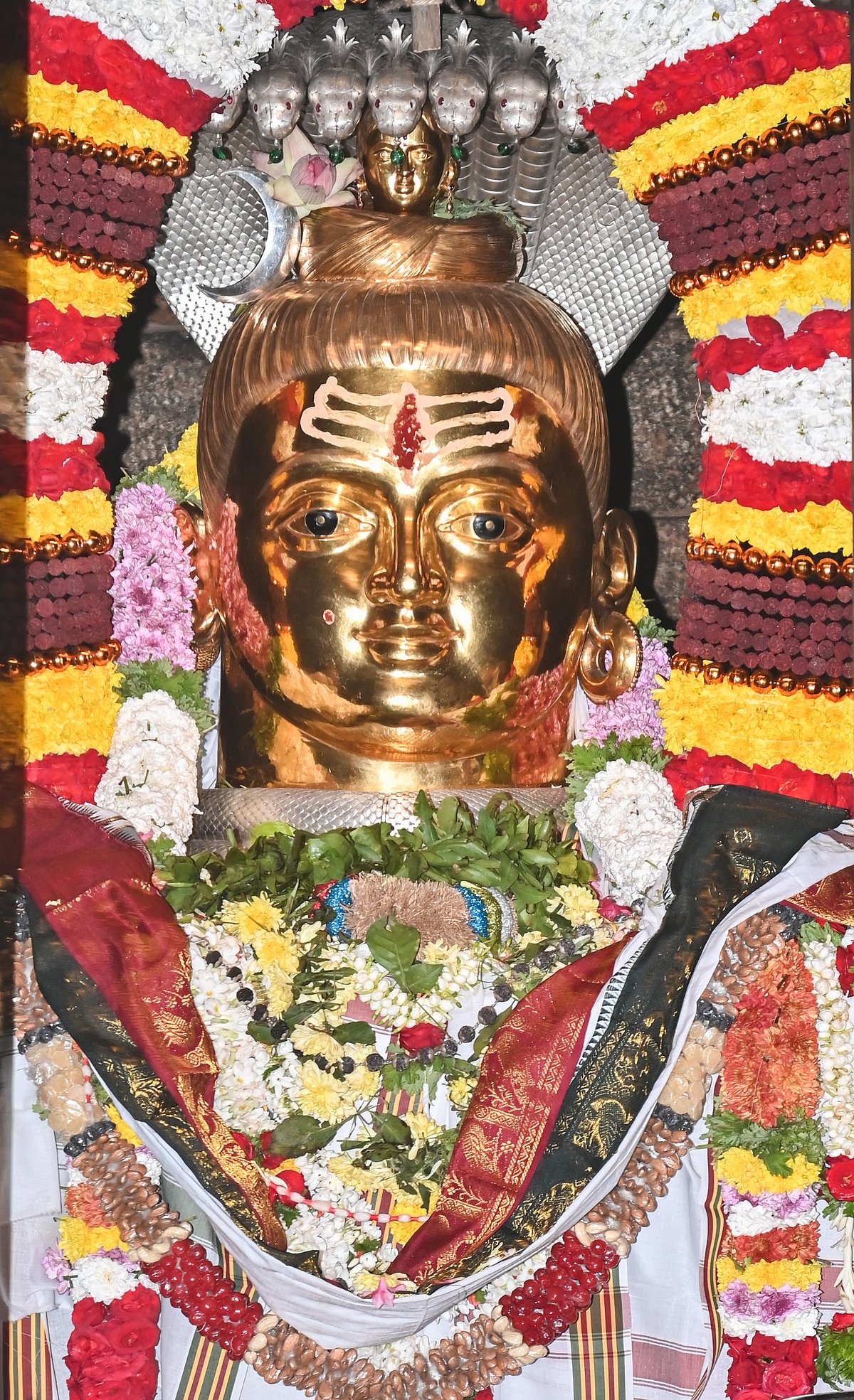 ಮೈಸೂರು: ಎಲ್ಲೆಡೆ ಶಿವನಾಮ ಸ್ಮರಣೆ, ಜಾಗರಣೆ 