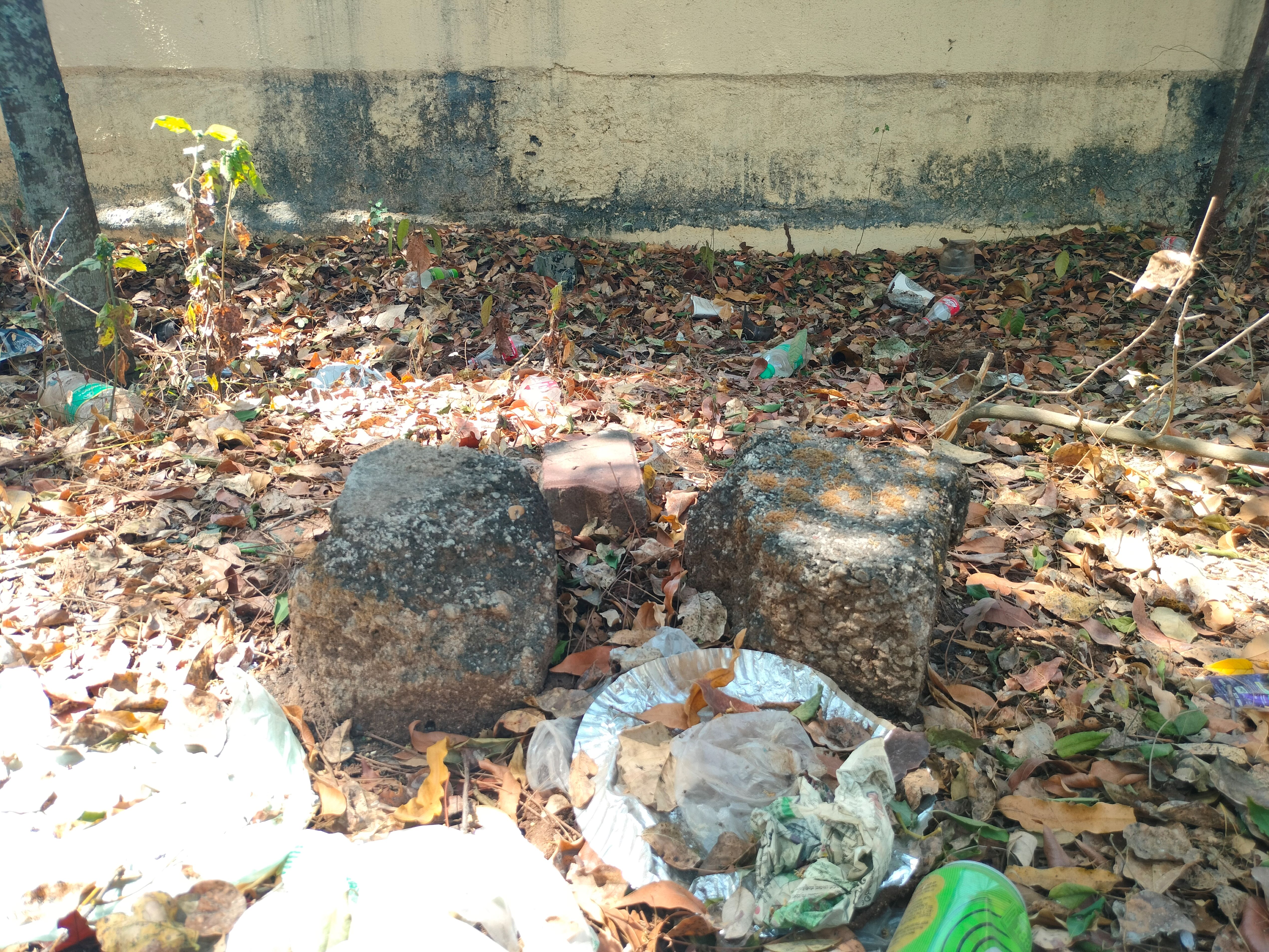 ಉದ್ಯಾನದಲ್ಲಿ ಅಡುಗೆ ಮಾಡಿದ ಕುರುಹು