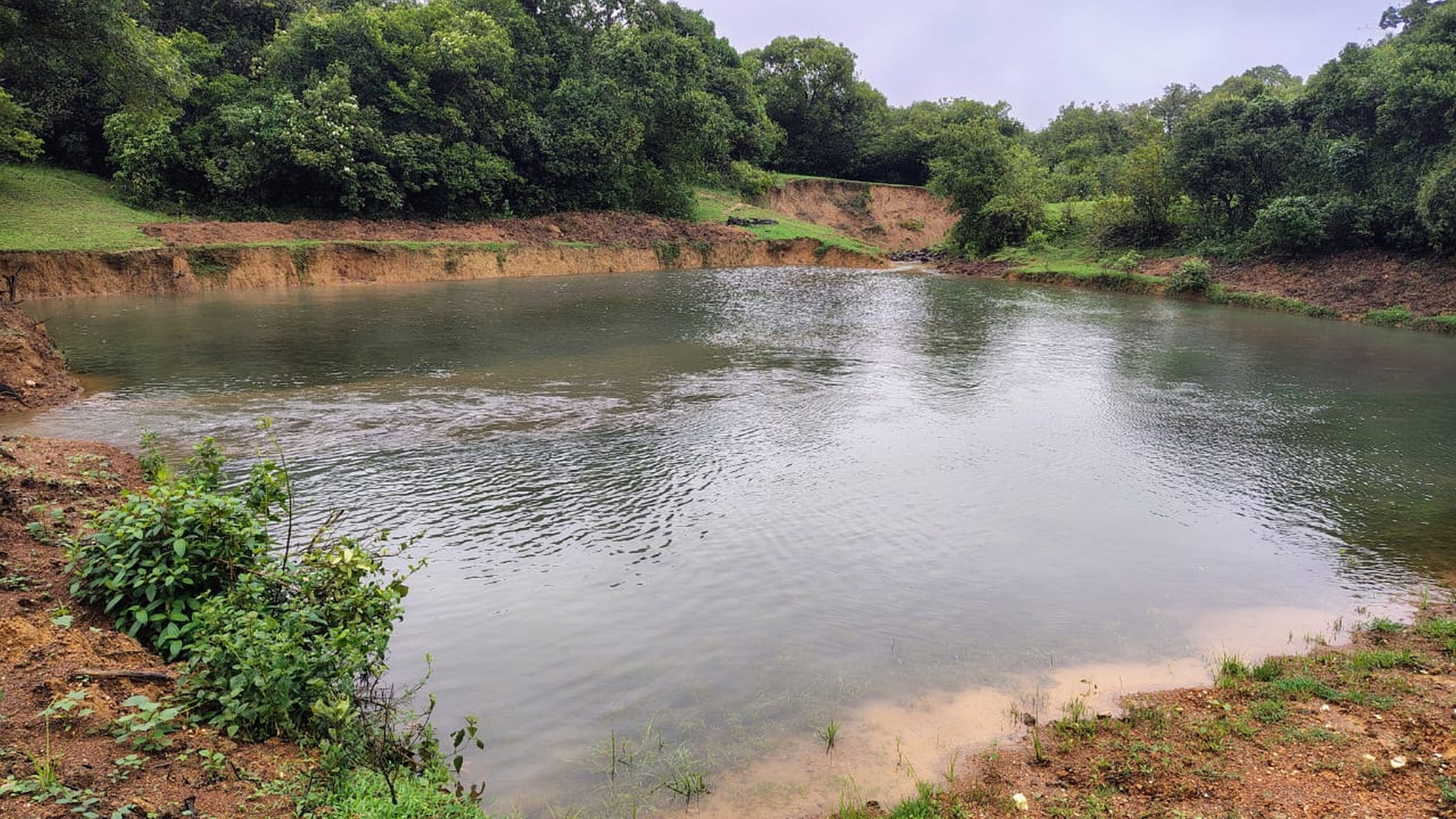 ಜೊಯಿಡಾ ತಾಲ್ಲೂಕಿನ ಕುಂಬಾರವಾಡ ವನ್ಯ ಜೀವಿ ವಲಯದ ಕುಂಡಲ ಅರಣ್ಯ ಪ್ರದೇಶದಲ್ಲಿ ಅರಣ್ಯ ಇಲಾಖೆ ನಿರ್ಮಾಣ ಮಾಡಿರುವ ಕೆರೆ ನೀರು ತುಂಬಿರುವುದು.