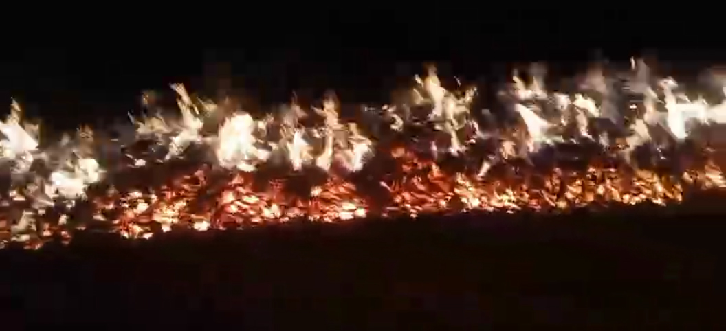 ಬೆಳೆ ರಾಶಿಯನ್ನು ಆವರಿಸಿರುವ ಬೆಂಕಿಯ ಜ್ವಾಲೆ