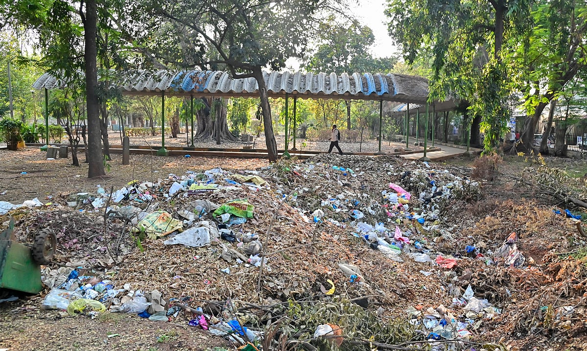 ದಾವಣಗೆರೆ | ಸಿಬ್ಬಂದಿ ಕೊರತೆ: ಉದ್ಯಾನ ನಿರ್ವಹಣೆ ಸವಾಲು