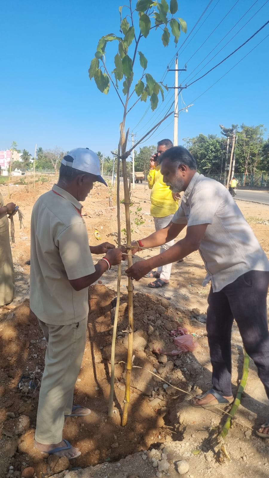 ಪಂಚಾಯಿತಿ ಸಿಬ್ಬಂದಿಗಳು ಕಸ ಹಾಕುತ್ತಿದ್ದ ಜಾಗವನ್ನು ಸ್ವಚ್ಛಗೊಳಿಸಿ ಅಲ್ಲಿ ಗಿಡ ನೆಟ್ಟು ನೀರು ಹಾಕುತ್ತಿರುವುದು
