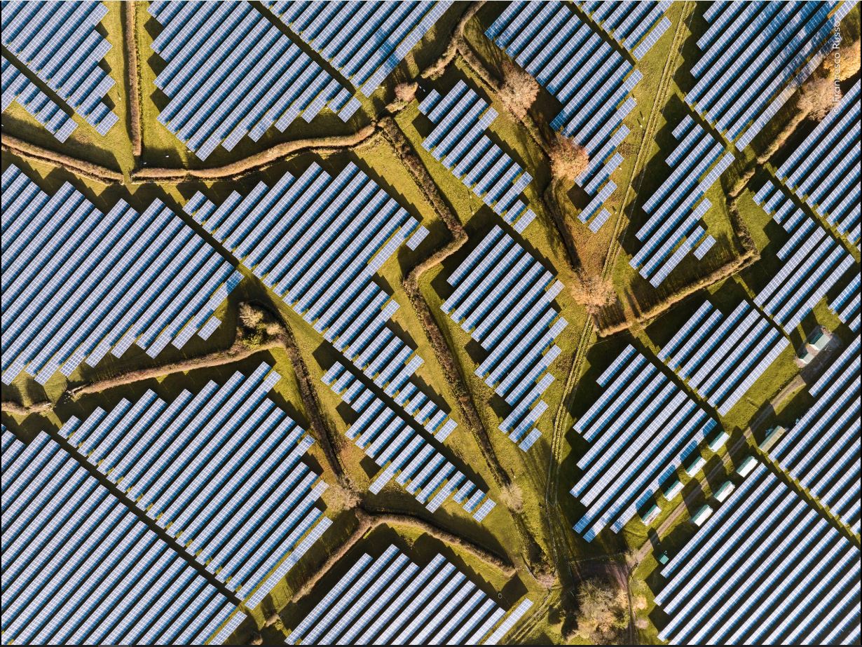 ಚಿತ್ರಕೃಪೆ: Francesco Russo / Natural History Museum: Home - London