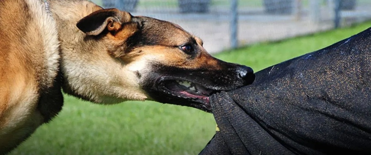 ಸಂಗ್ರಹ ಚಿತ್ರ