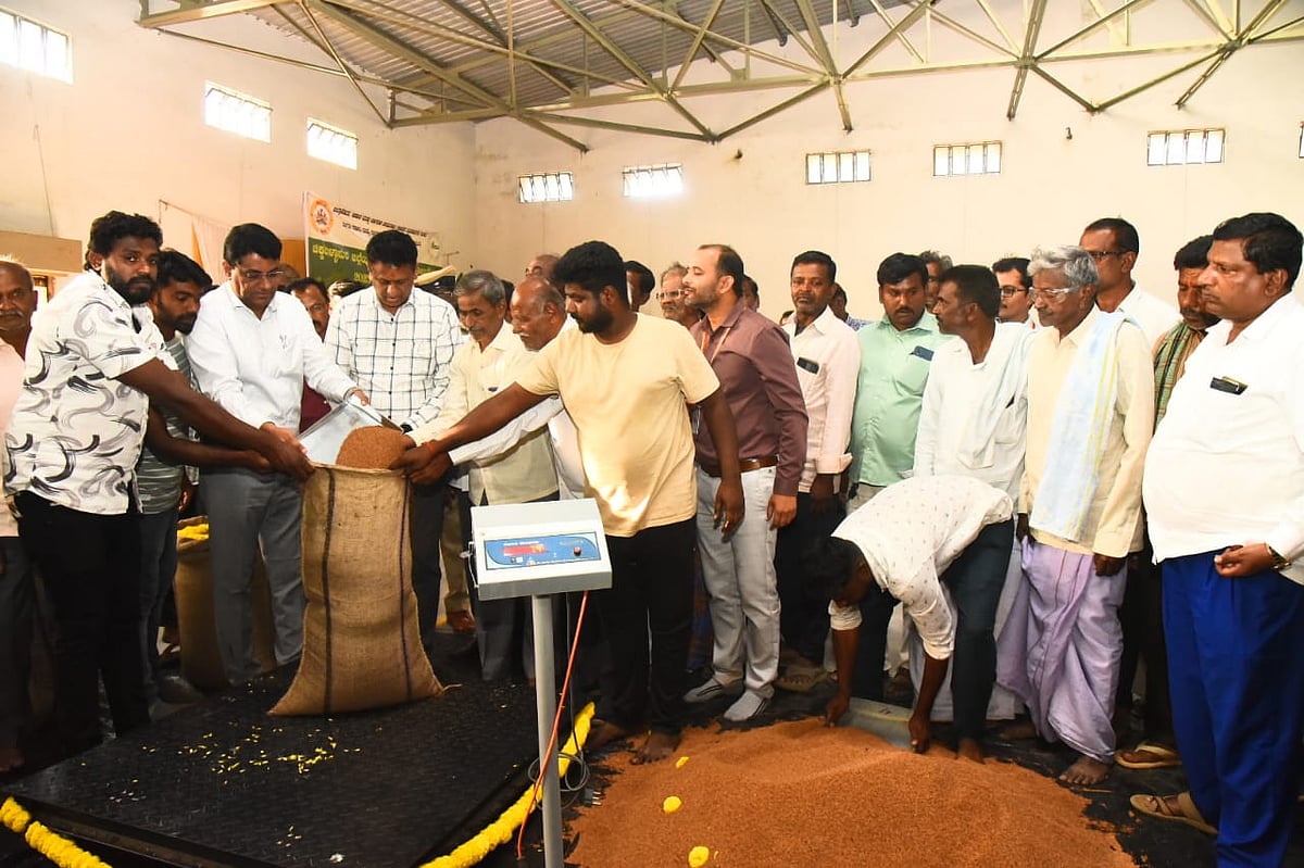 ಚಿಕ್ಕಬಳ್ಳಾಪುರ | ಮಾ.31ರವರೆಗೆ ಜಿಲ್ಲೆಯಲ್ಲಿ ರಾಗಿ ಖರೀದಿ: ಡಾ. ಎಂ.ಸಿ.ಸುಧಾಕರ್ 