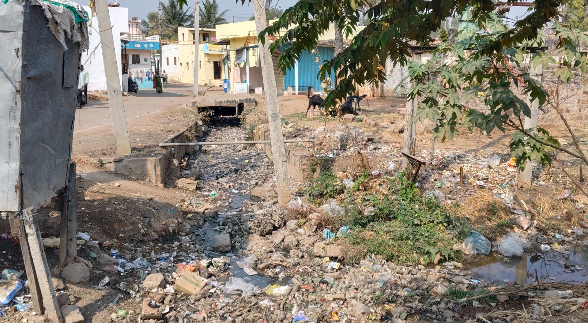 ಗಜೇಂದ್ರಗಡ ಸಮೀಪದ ರಾಜೂರ ಗ್ರಾಮ ಪಂಚಾಯಿತಿ ವ್ಯಾಪ್ತಿಯ ದಿಂಡೂರ ಗ್ರಾಮದಲ್ಲಿ ಚರಂಡಿಯಲ್ಲಿ ಹೂಳು ತುಂಬಿಕೊಂಡಿರುವುದು