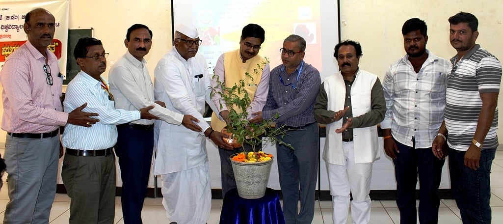 ದಾಳಿಂಬೆ ಬೆಳೆ | ವೈಜ್ಞಾನಿಕ ಪದ್ಧತಿ ಅನುಸರಿಸಿ: ತಮ್ಮಯ್ಯ ಎನ್