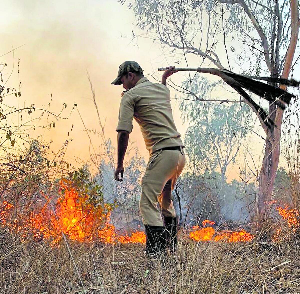 ಕಾಳ್ಗಿಚ್ಚು: ‘ಸೇನಾನಿ’ಗಳೆಡೆ ಅನಾದರ
