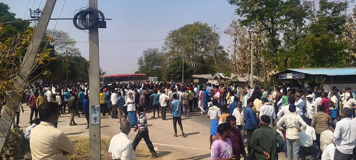 ತಂಬಾಕು ದರ ಕುಸಿತ | ರೈತರ ಪ್ರತಿಭಟನೆ: ನಿಖಿಲ್‌ ಕುಮಾರಸ್ವಾಮಿ, ‌ಹರೀಶ್ ಗೌಡ ಸಾಥ್