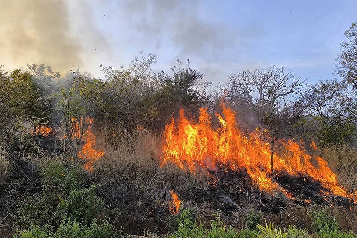ಸೂಳೆಕೆರೆ ಗುಡ್ಡಕ್ಕೆ ಬೆಂಕಿ; ಅಮೂಲ್ಯ ವನಸಂಪತ್ತು ನಾಶ