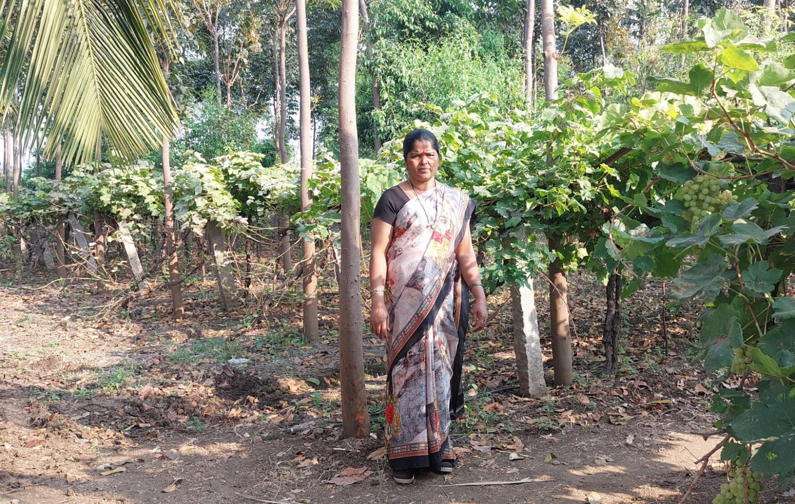  ಬಳ್ಳಾವೂರ ತಾಂಡಾದ ಪ್ರಗತಿಪರ ರೈತ ಮಹಿಳೆ ಸುನೀತಾ ರಾಠೋಡ 