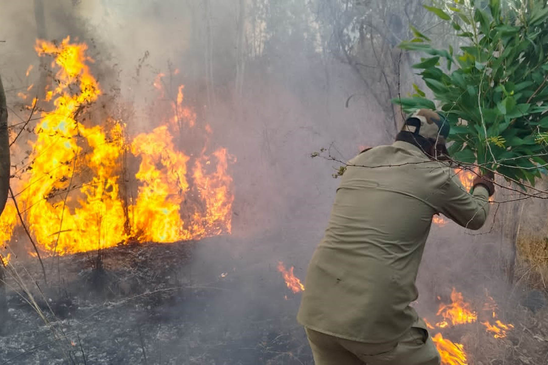 ಸೂಳೆಕೆರೆ ಗುಡ್ಡಕ್ಕೆ ಬಿದ್ದ ಬೆಂಕಿಯನ್ನು ನಂದಿಸಲು ಅರಣ್ಯ ಇಲಾಖೆ ಸಿಬ್ಬಂದಿ ಕಾರ್ಯಾಚರಣೆ ನಡೆಸಿದರು